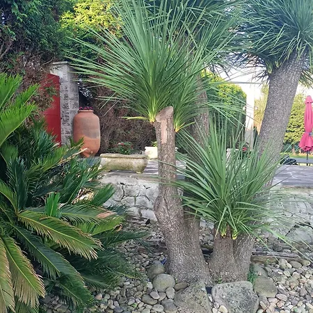 La Torre Del Indiano-villa-